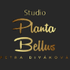 Studio Panta Bellus